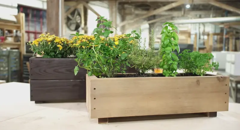 Planter Boxes for Elegant Outdoor Living in Dubai Villas