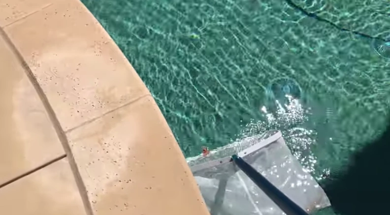 Ladies Swimming Pool Design for Private Villa Comfort