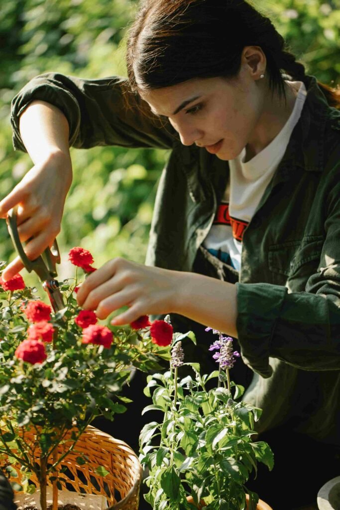 Expert Garden Care for Homes and Villas: Essential Tips for Lush Outdoors