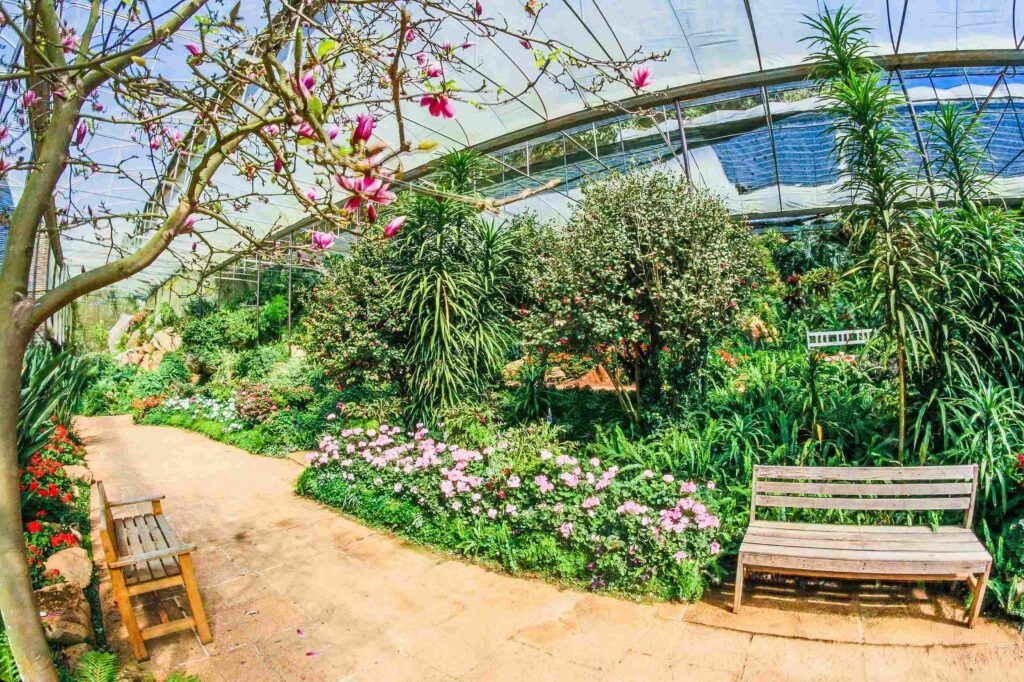 How to Maintain a Beautiful Garden and Outdoor Space