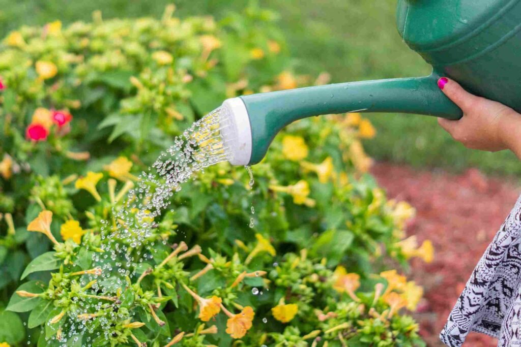 Essential Garden Care Tips For a Healthy and Beautiful Landscape